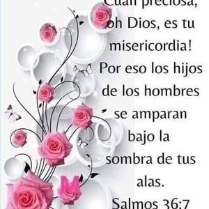 Meet your Posher, Juny